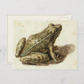 Postkarte mit süßem, altem Frosch (Vorne/Hinten)