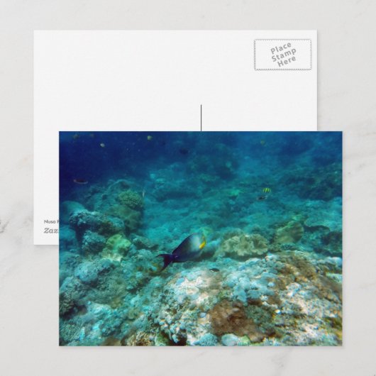 Postkarte mit Unterwasseransicht (Vorne/Hinten)
