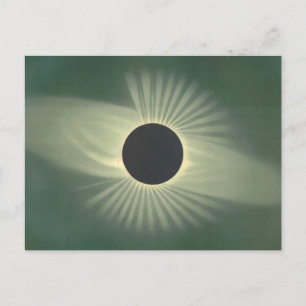 Postkarte mit Vintage-Illustration einer Sonnenfin