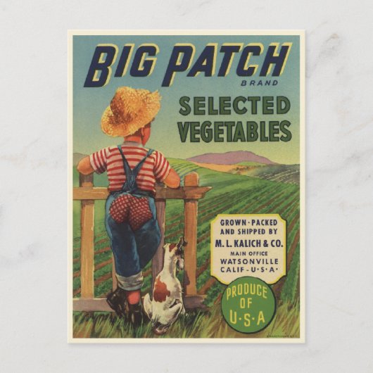 Postkarte mit Vintagem Druck von Jungkid und Hund (Vorderseite)