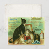Postkarte mit Vintager Darstellung der Kätzchen (Vorne/Hinten)
