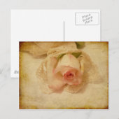 Postkarte mit Vintager Rose (Vorne/Hinten)