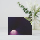 Postkarte mit violetten Blumen (Stehend Vorderseite)