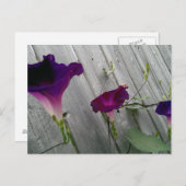 Postkarte mit violetten Blumen (Vorne/Hinten)