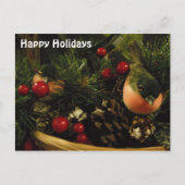 Postkarte mit Vögeln (Vorderseite)