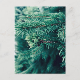 Postkarte mit Weihnachtsbaum darauf
