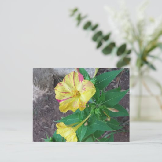 Postkarte mit weißem Umschlag (Stehend Vorderseite)