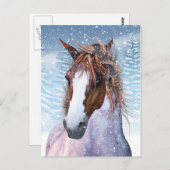Postkarte mit Winterpferd im Schnee (Vorne/Hinten)