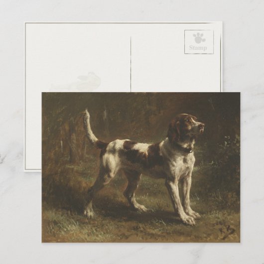 Postkarte mit wunderschöner Hundefarbe (Vorne/Hinten)