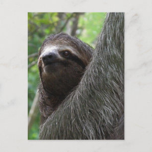 Postkarte mit zwei Zehen