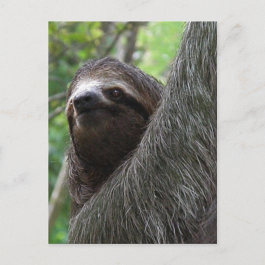 Postkarte mit zwei Zehen (Vorderseite)