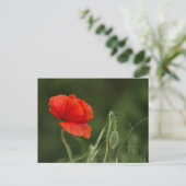 Postkarte - Mohnblume - Einsame Grazie (Stehend Vorderseite)