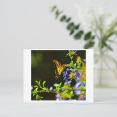 Postkarte Monarch Butterfly (Stehend Vorderseite)