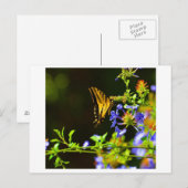 Postkarte Monarch Butterfly (Vorne/Hinten)