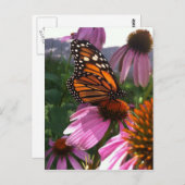 Postkarte - Monarchen Schmetterling auf Tiefsee (Vorne/Hinten)