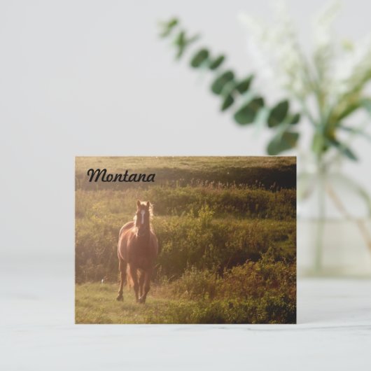 Postkarte Montana (Stehend Vorderseite)