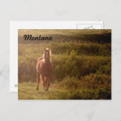 Postkarte Montana (Vorne/Hinten)