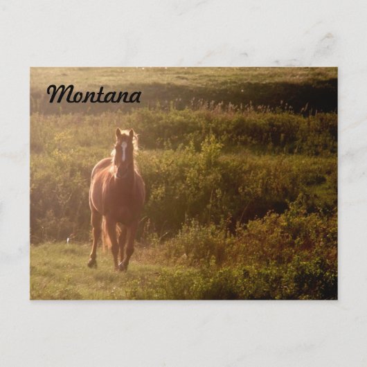 Postkarte Montana (Vorderseite)