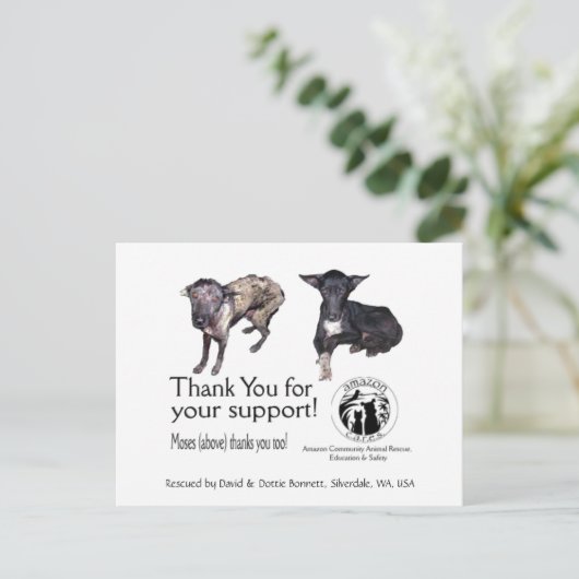 Postkarte: Moses, Before & After seiner Rettung Postkarte (Stehend Vorderseite)