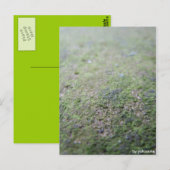 Postkarte - Moß (Vorne/Hinten)