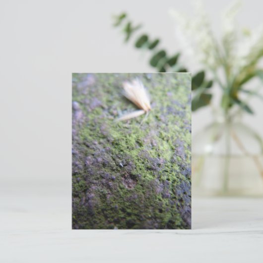 Postkarte - Moß&Pollen (Stehend Vorderseite)