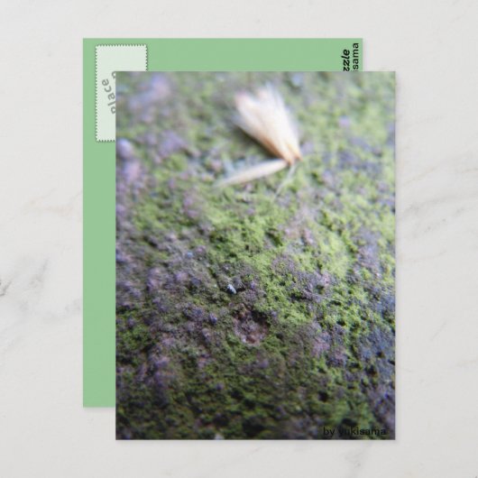 Postkarte - Moß&Pollen (Vorne/Hinten)