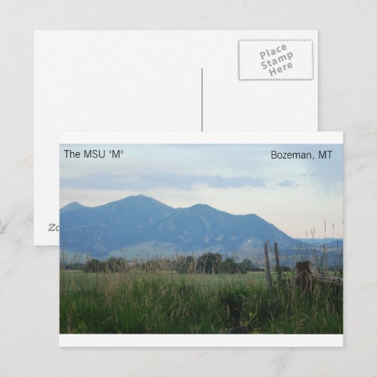 Postkarte MSU "M" (Vorne/Hinten)