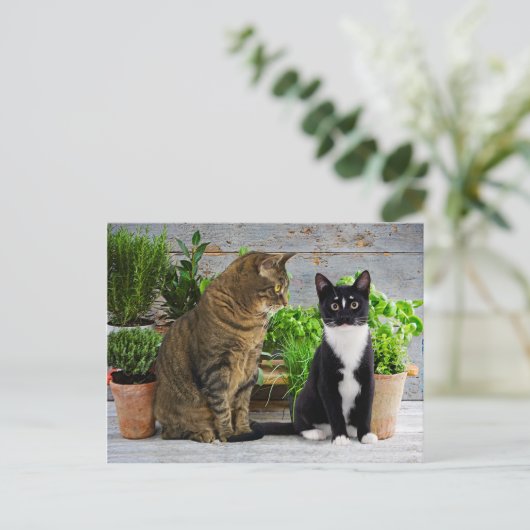 Postkarte "Muffin & Kells" (Stehend Vorderseite)