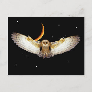 Postkarte "Nachtflug"