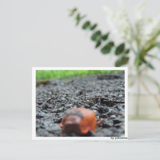 Postkarte - Nacktschnecke (Stehend Vorderseite)