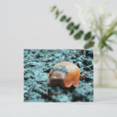 Postkarte - Nacktschnecke II (Stehend Vorderseite)