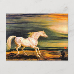 Postkarte: Napoleons Marengo Postkarte