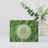 Postkarte - Naturbild (Stehend Vorderseite)