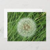 Postkarte - Naturbild (Vorne/Hinten)