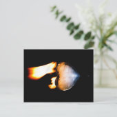 Postkarte neu entzündet (Stehend Vorderseite)