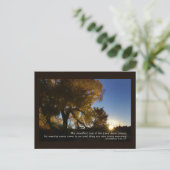 Postkarte "Neuer Morgen (Stehend Vorderseite)