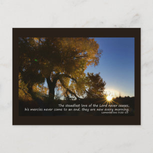 Postkarte "Neuer Morgen