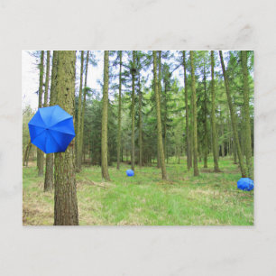 Postkarte - neulich im Wald