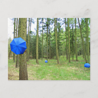 Postkarte - neulich im Wald