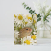 Postkarte - Niedliche Maus unter den Daisy's (Stehend Vorderseite)