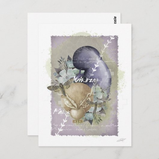 Postkarte "Nieren" (Vorne/Hinten)