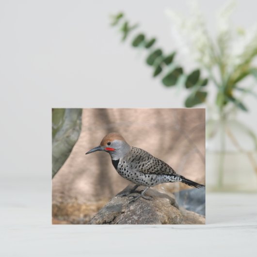 Postkarte: Nordflacker Postkarte (Stehend Vorderseite)