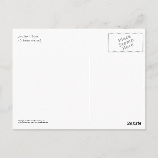 Postkarte: Nordflacker Postkarte (Rückseite)