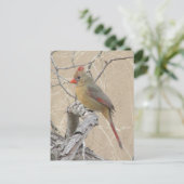 Postkarte Nördlicher Kardinal (Stehend Vorderseite)