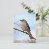 Postkarte Nördlicher Kochingvogel (Stehend Vorderseite)