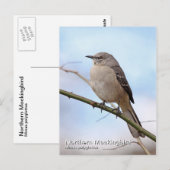 Postkarte Nördlicher Kochingvogel (Vorne/Hinten)