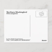 Postkarte Nördlicher Kochingvogel (Rückseite)