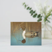 Postkarte Nördlicher Stift (Stehend Vorderseite)