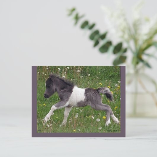 Postkarte Nr. 3 des anpassbaren Pferdes (Stehend Vorderseite)