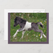 Postkarte Nr. 3 des anpassbaren Pferdes (Vorne/Hinten)